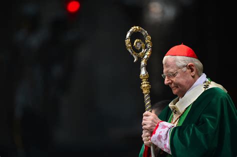 Scola — may refer to: Cardinal Scola: the man who was nearly Pope - Catholic Herald