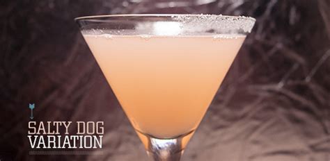 How do you hydrate a dog that won t drink. It's Friday … Have a Drink: Salty Dog Variation | Primer