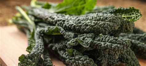 Cotto in questo modo potrete usarlo come base per altre ricette o. Come cucinare il cavolo nero - CucinareVerdure.it