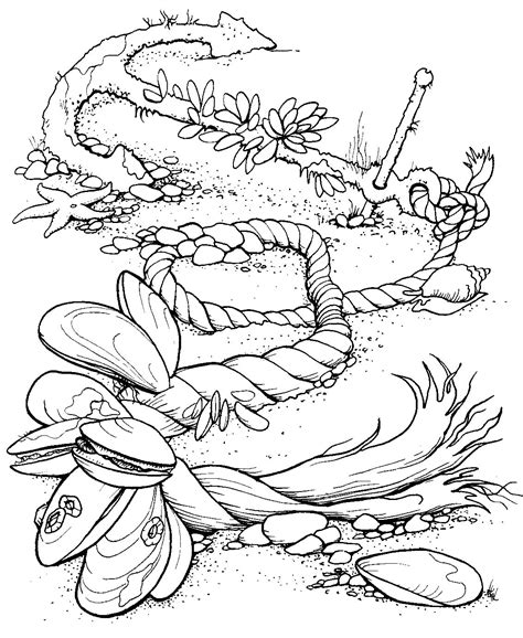 Coloring is not just for kids anymore! Coloring Pages | Ocean coloring pages, Coloring pages ...