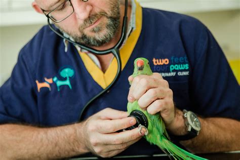 Although thorough physical examinations are still our best diagnostic tools, northcoast bird & exotic specialty offers a full range of diagnostic and treatment options for all … Tortoise Vet near me | Best Exotic Reptile Vet Dubai