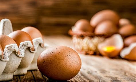 Poultry, eggs, meat and dairy products are common culprits. Thousands of Australian eggs have been contaminated with ...