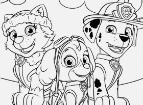 Zuma and skye coloring page. Paw Patrol Coloring Pages Pics Paw Patrol Skye Coloring ...