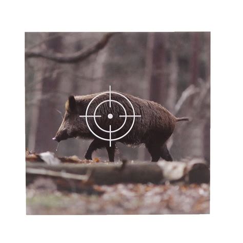Luftgewehr zielscheiben ausdrucken kostenlos : Zielscheiben / Schießscheiben - Wildsau / 25 Stück