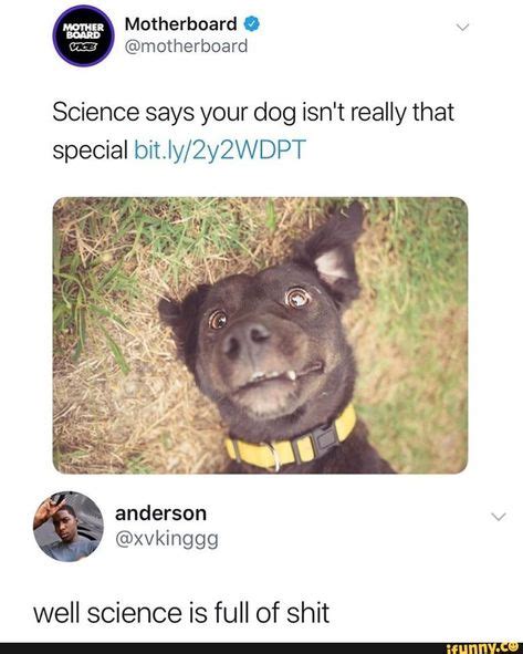 Check spelling or type a new query. Science says your dog isn't really that special bit.Iy/2y2WDPT well science is full of shit ...