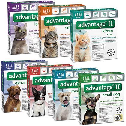 No insecticides (i.e., flea treatments). Advantage II | Flea control for cats, Cat has fleas, Fleas