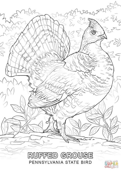 Kentucky state symbols coloring page from kentucky category. pennsylvania-state-bird-coloring-page.jpg (1020×1440 ...