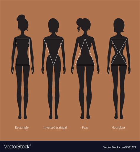Women have these crazy body shapes. Female body types silhouettes Royalty Free Vector Image