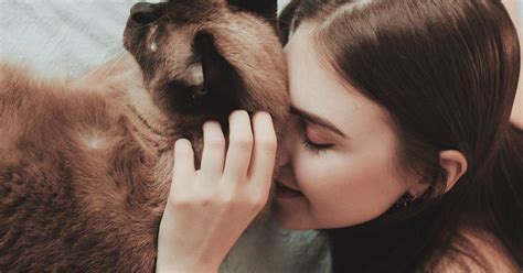 Pet therapy per combattere l'insonnia | zenO Materasso