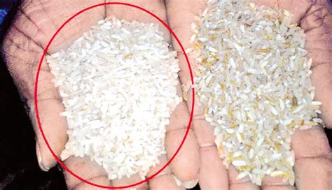 Thus, how to detect authenticity of thai jasmine rice fast and accurately is becoming a key issue to be then in adulteration experiment, thai jasmine rice was selected as unadulterated rice samples and h. Adulterated rice racket busted | Daily News