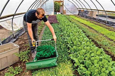 Backyard farming is truly one of the most rewarding things you'll ever do. Urban Backyard Farming for Profit - Organic Gardening ...