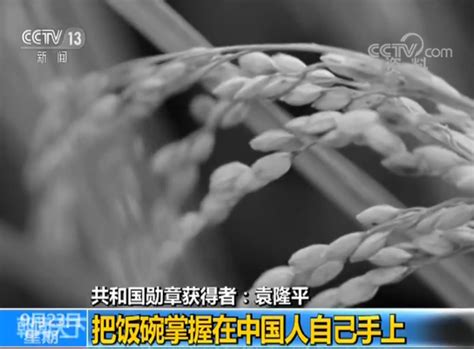 Born september 7, 1930) is a chinese agronomist, known for developing the first hybrid rice varieties in the 1970s. 央视新闻丨袁隆平：把饭碗掌握在中国人自己手上 - 社会百态 - 华声新闻 - 华声在线