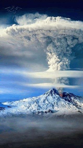 100% free, no charges attached! Pin by Lucy on Animated Images * GIF | Amazing nature ...