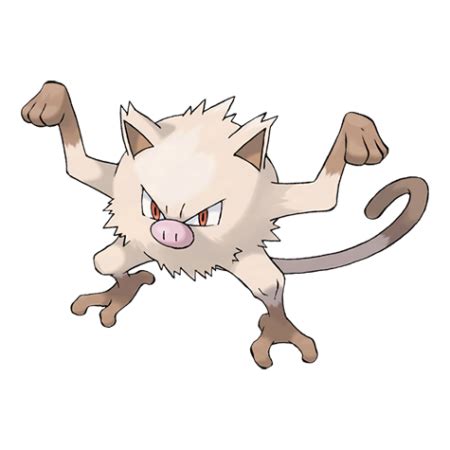 Mankey pokémon serebii.net pokédex providing all details on moves, stats, abilities, evolution data if one gets angry, all the others around it will get angry, so silence is a rare visitor in a troop of mankey. Mankey Pokemon Go | Mejores Ataques Mankey | Pokepedia.Pro