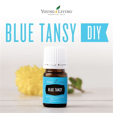 Idaho tansy essential cas number: Pin on Young Living Essential Oils