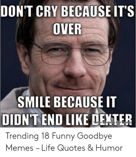 Farewell (meme) slowed down for edgy memes. 25+ Best Memes About Funny Goodbye Memes | Funny Goodbye Memes