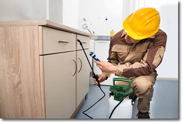 A small company, northwest nevertheless has a customer service record and a commitment to environmental treatment that puts its acworth branch on a level. Gwinnett Pest Control | Lawrenceville Exterminator ...