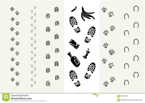 Rätsel tierspuren im schnee : Tierspuren Gratis : Vector animal del icono de las huellas ...