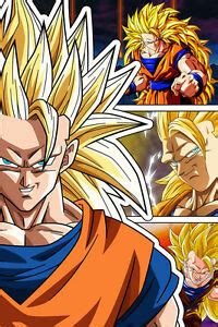 How does that make sens i have no idea. Dragon Ball Super/Z Goku Super Saiyan 3 12in x 18in Poster ...