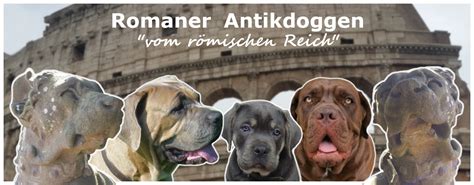 Da > en (+ab +wann is danish, english term is missing) 52 Top Photos Hundewelpen Ab Wann Abgeben / Betruger ...