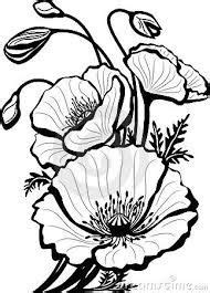 Le coquelicot est une plante à fleurs. bouquet dessin - Recherche Google | Coquelicot dessin ...