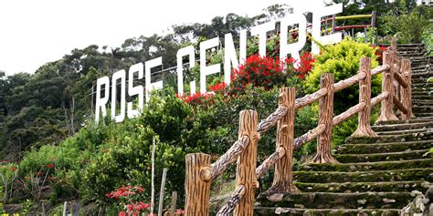 All are nestled at elevations ranging from 800 metres (2,600 ft) to. Top Attractions at Kea Farm © LetsGoHoliday.my