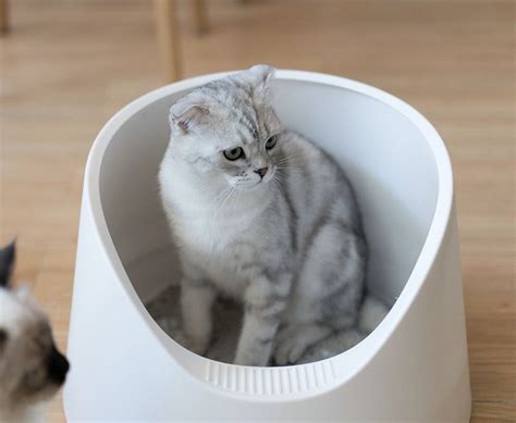 Minimalist and beautiful design that conceals your cat's litter box. Pidan Snow Mountain Cat Litter Box