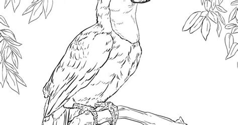 Explore 623989 free printable coloring pages for you can use our amazing online tool to color and edit the following toucan coloring pages. Toco Toucan coloring page | SuperColoring.com | Art ...