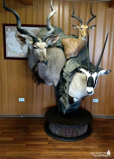 Maybe you would like to learn more about one of these? Kudu, Impala& Gemsbok Shoulder Mount Pedestal Combo ...