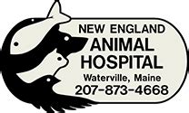 233 lowell st, andover, ma 01810. Vets in Waterville Maine | New England Animal Hospital