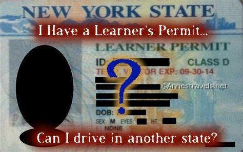 Find out about written and online driving tests. Can I Drive Out of State with My Learner's Permit (With ...