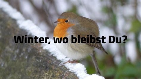 Gibt es eine möglichkeit diese himmelskörper abzuwehren? Wann kommt der Winter?, 2014 - News - Wetter24.de