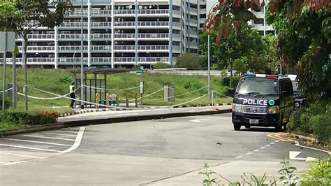 We are grateful to the police for pursuing leads relentlessly. Punggol Field death: 20-year-old man arrested, to be ...