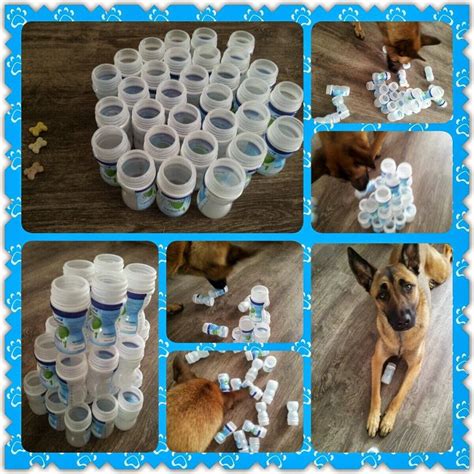 Whether you are buying them for your kids or want to gift them for your beloved ones. Spellen | Denkspellenvoorjehond.jouwweb.nl | Juguetes ...