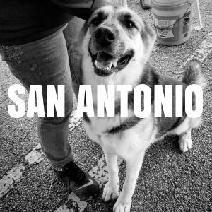 Low Cost Pet Vaccinations | Mobile Pet Vaccinations