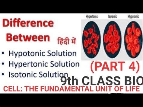 A hypotonic solution contains less solutes than the cell. HYPERTONIC , HYPOTONIC & ISOTONIC SOLUTION : OSMOSIS ...