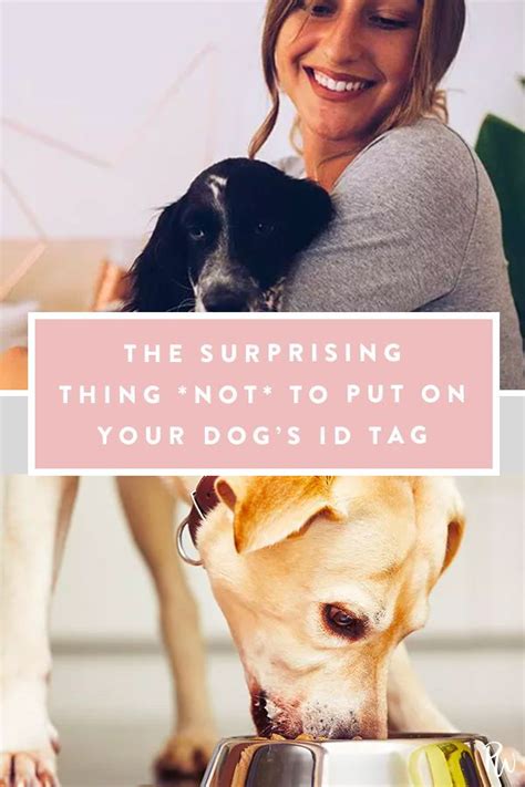 Maybe you would like to learn more about one of these? The Surprising Thing *Not* to Put on Your Dog's ID Tag ...