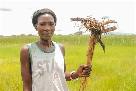 Zambia is rijk aan grondstoffen, maar de lokale bevolking ondervindt vooral negatieve gevolgen van deze bodemschatten. Nalishebo uit Zambia - ActionAid Nederland