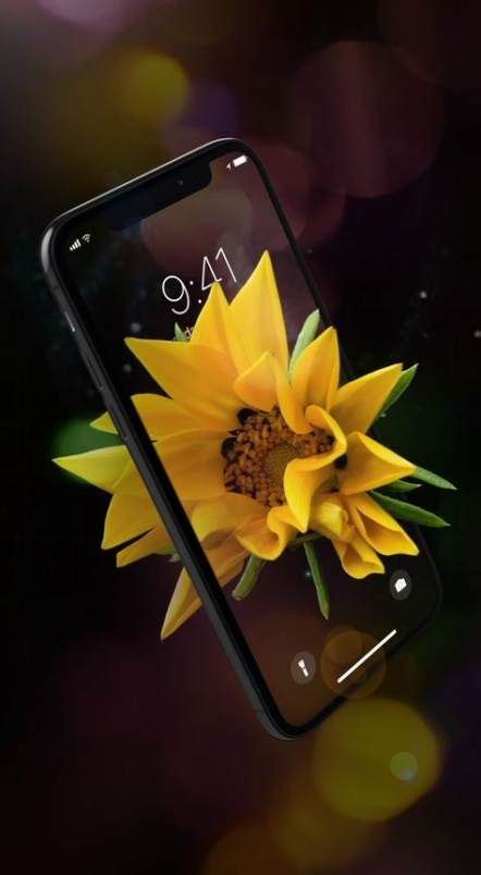 Live Wallpaper Iphone Anime 52 Super Ideas | Iphone ...