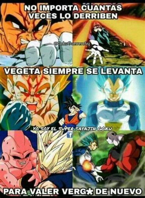 El primero compilado de 100 memes lo puedes encontrar aquí. Memes | DRAGON BALL ESPAÑOL Amino