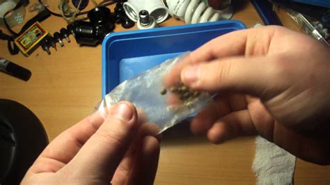 Germinating seeds on paper towel vs. How to Germinate your Cannabis Seeds (fast and 100% ...