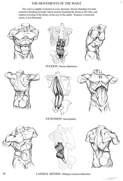 And last, but not least if you are taking 3d modeling and texturing seriously i. Art Blog of RJ Palmer : Photo | Dibujo anatomia humana ...