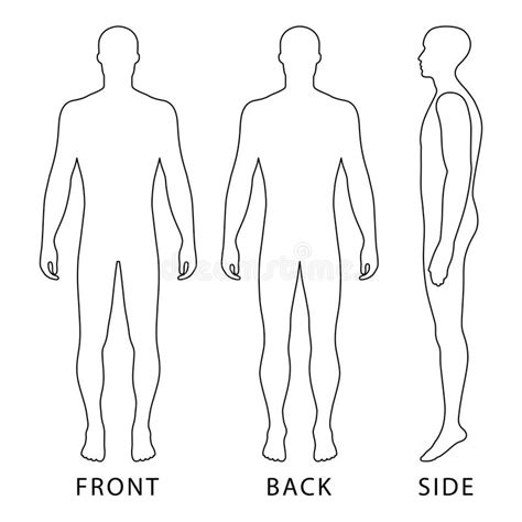 Full length front, back silhouette of a man. Images Of A Human Body Front And Back : Clipart - Female ...