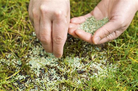 Some great tips in this article. How to Fix Brown Patches + Bare Spots on Grass Lawns - Install-It-Direct