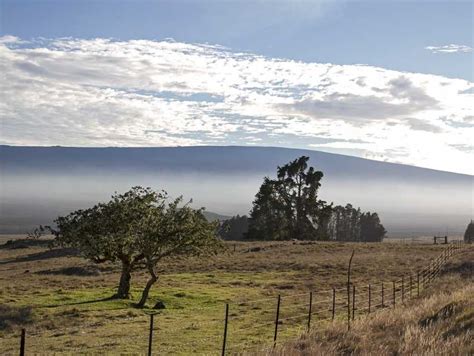 Maybe you would like to learn more about one of these? Mauna Kea State Recreation Area