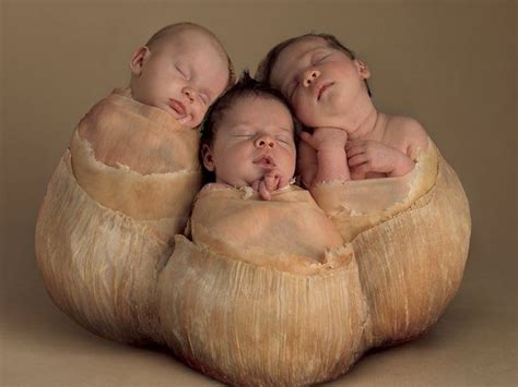 Check spelling or type a new query. 83 besten Anne Geddes Bilder auf Pinterest | Anne geddes ...