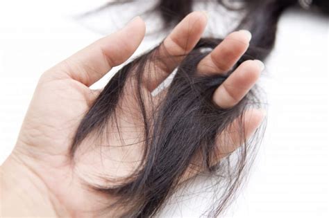 Namun, jika rambut rontok berlebihan, apalagi disertai dengan pertumbuhan rambut yang terganggu atau terhenti, kepala bisa kehilangan mahkota indahnya, baik untuk sementara maupun permanen. 12 Cara Mengatasi Rambut Rontok, Biar Nggak Botak di Usia Muda