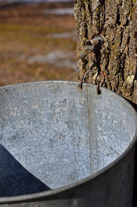 47,6% 18:40 dünnes, vollbusiges babe zeigt sich in bad. Ein Tropfen der Wanne stockfoto. Bild von baum ...