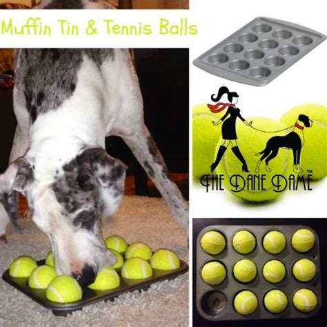 Find the right puzzle with ease. Great DIY Dog Puzzle Feeders on the Dane Dame's Blog ...