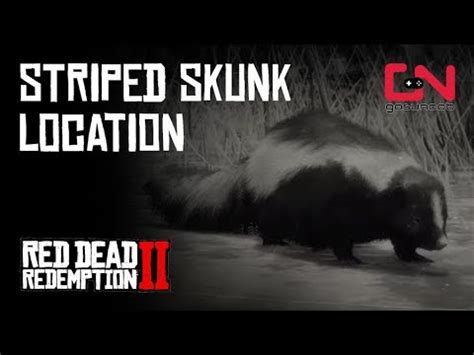 Rdr2 robin location legendary animal locations rdr2 far cry 5 skunk location rdr2 owl locations rdr2 possum location rdr2 badger location rdr2 bear location rdr2 bat location legendary fish locations rdr2 rdr2 loon location rdr2 buck. Skunk Look Rdr2 : For red dead redemption 2 on the ...